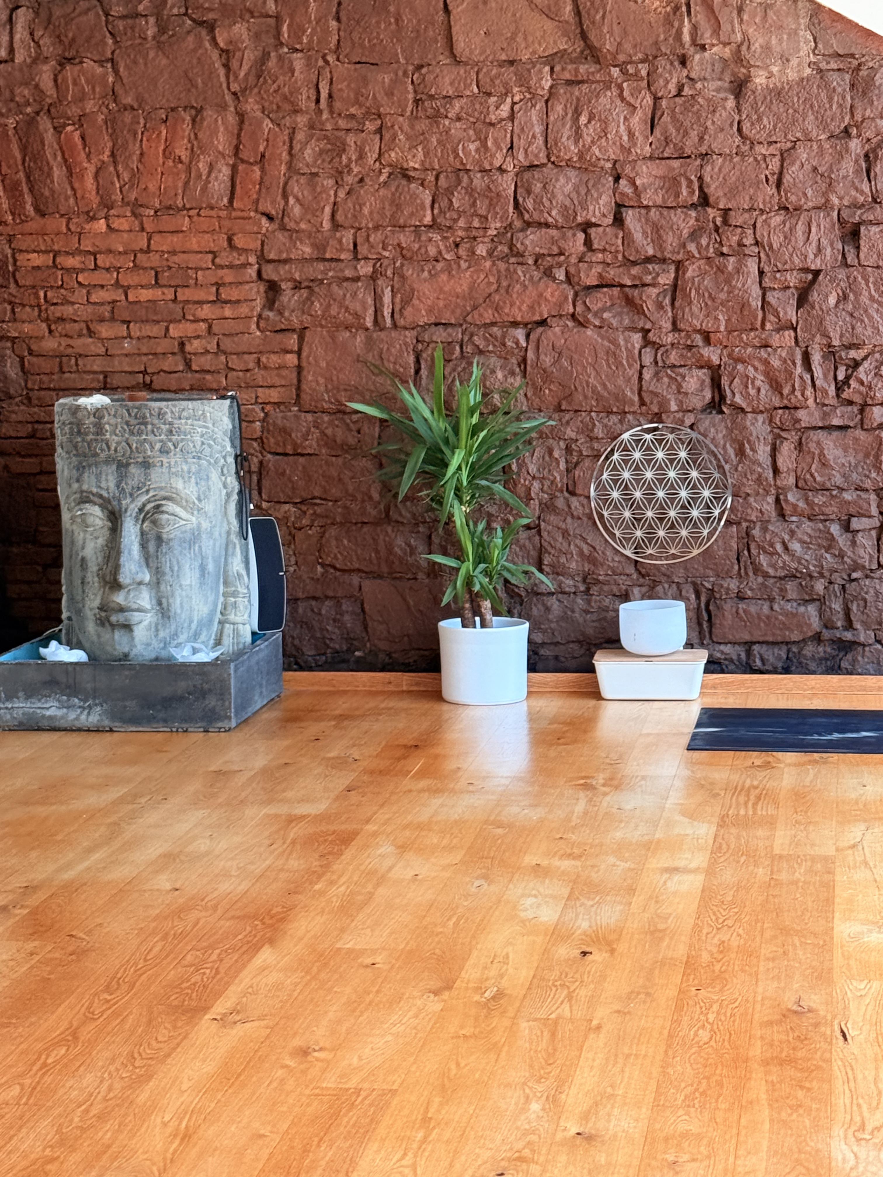 Stephan Suh Yoga Meisengasse