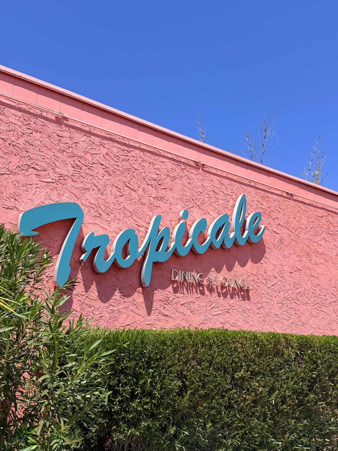 The Tropicale